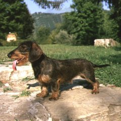 copy_0_IOLI3-00